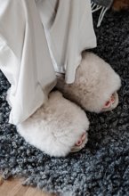 Shepherd of Sweden - Dam Tessan Tofflor Honey