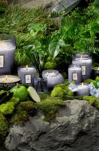 Voluspa - Ultrasonic Diffuser Fragrance Oil Apple Blue Clover