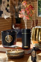 Voluspa - Ultrasonic Diffuser Fragrance Oil Crisp Champagne