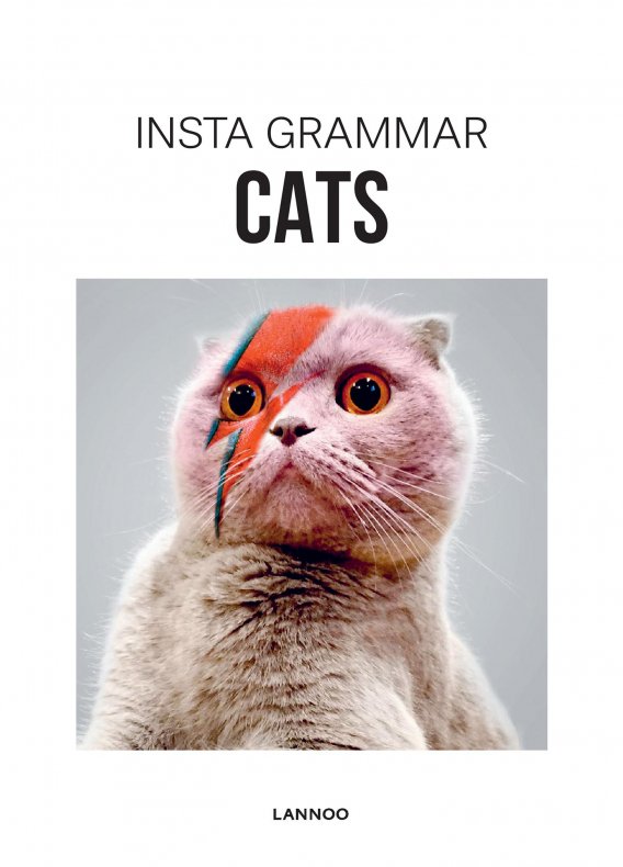 NEW MAGS - Instagrammar Cats
