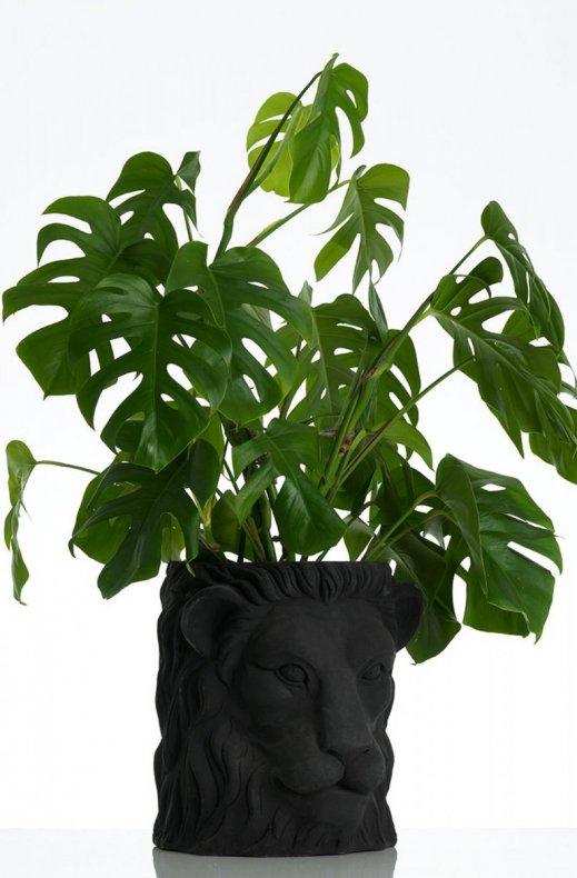 Garden Glory - Lion Pot Large Black