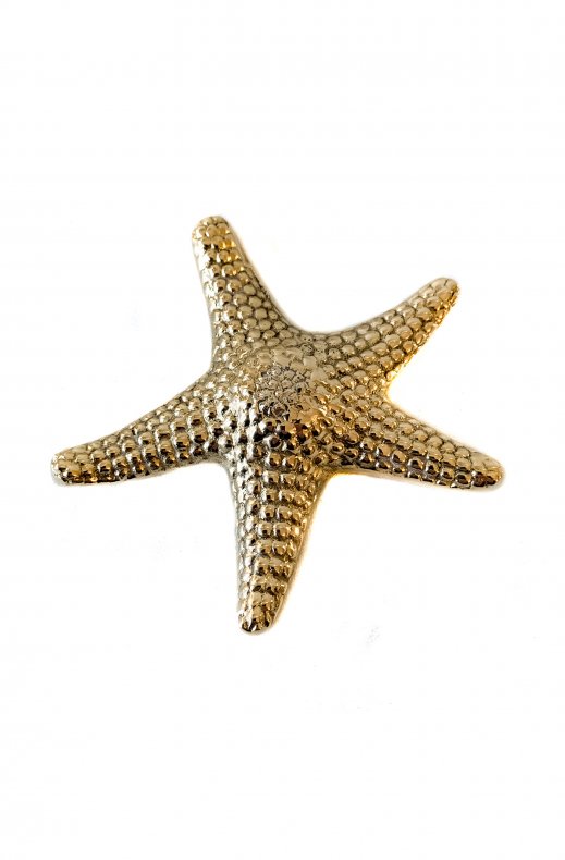 Interior - Starfish Bottle Opener Brass