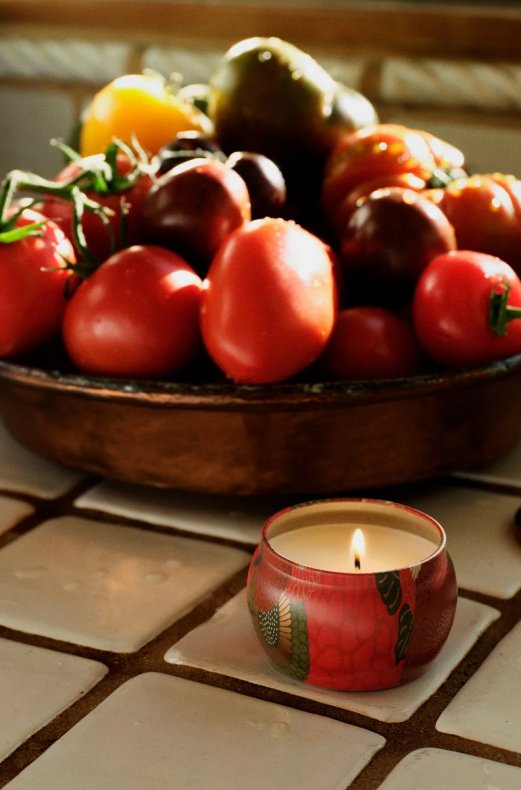 Voluspa - Mini Decorative Tin Candle - Tomato Trellis