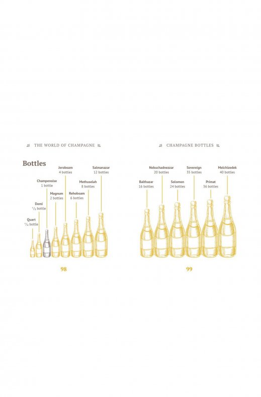 New Mags - Little Book of Champagne