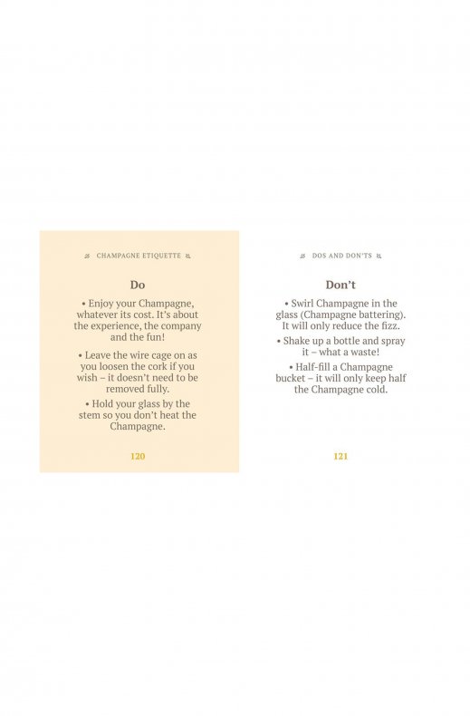 New Mags - Little Book of Champagne