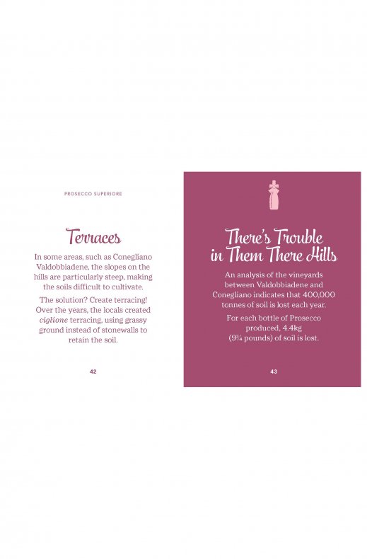 New Mags - The Little Book of Prosecco