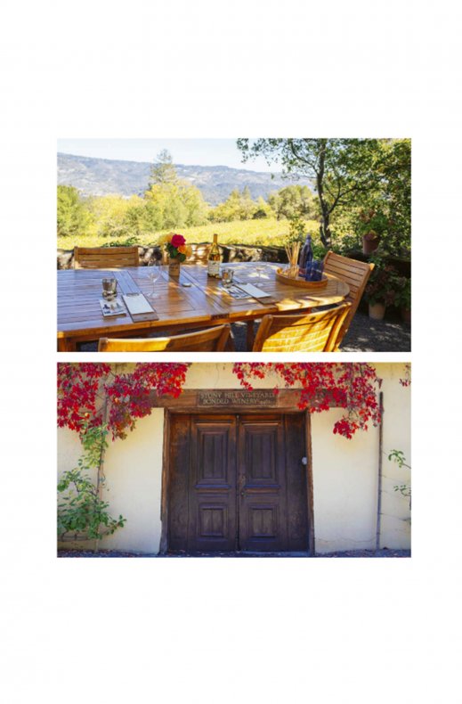 New Mags - The Bucket List: Wine