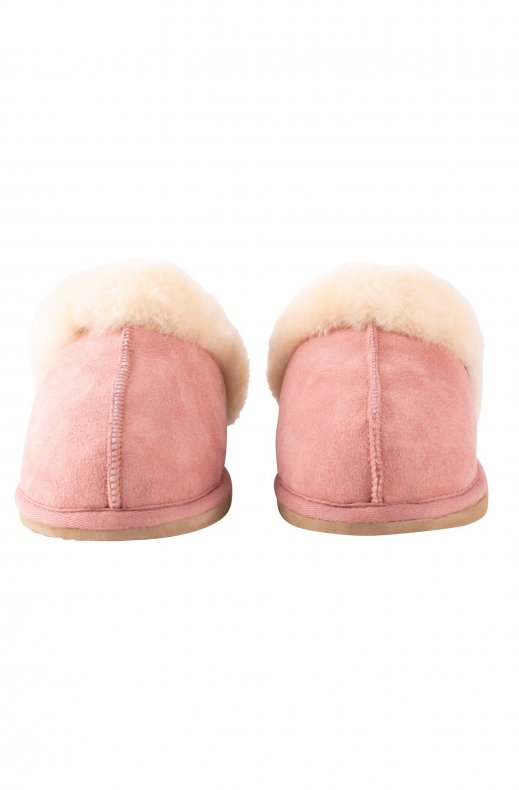 Shepherd of Sweden - Dam Jessica Tofflor Marsala Chestnut