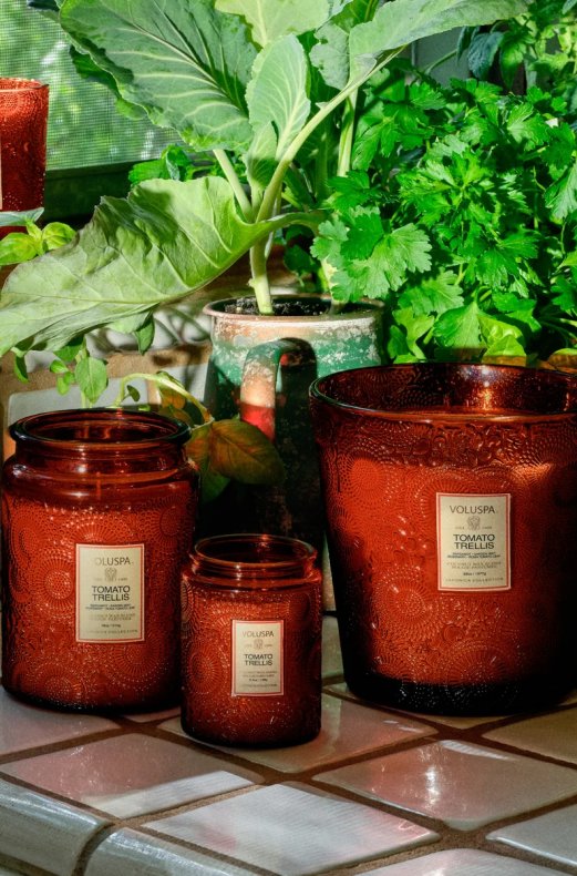 Voluspa - Small Jar Candle - Tomato Trellis