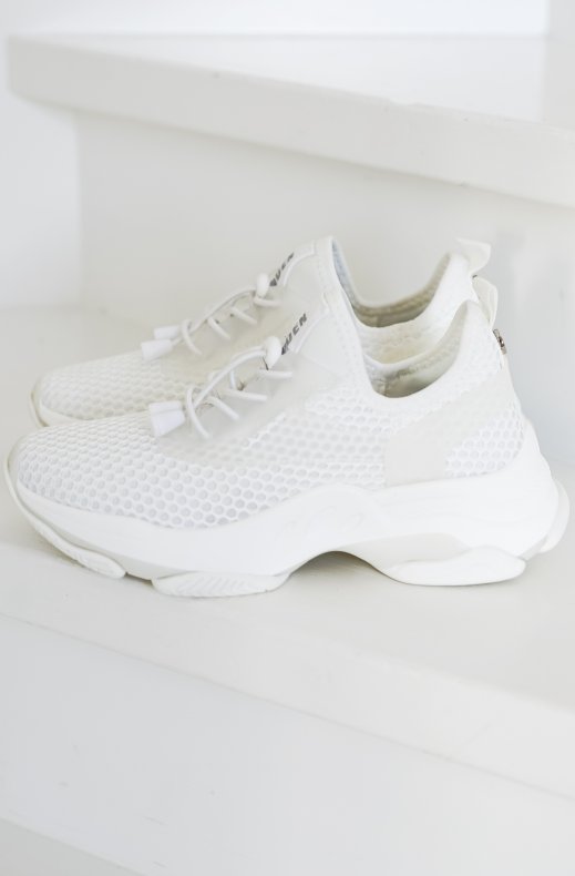 Steve Madden - Mastery Sneaker - White